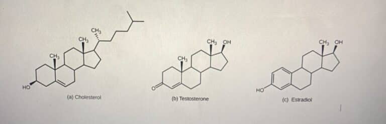 Structural, Cholesterol, Testosterone, Estradiol, Fats