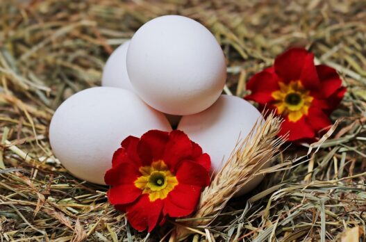 omega-3, eggs, straw, flower, white