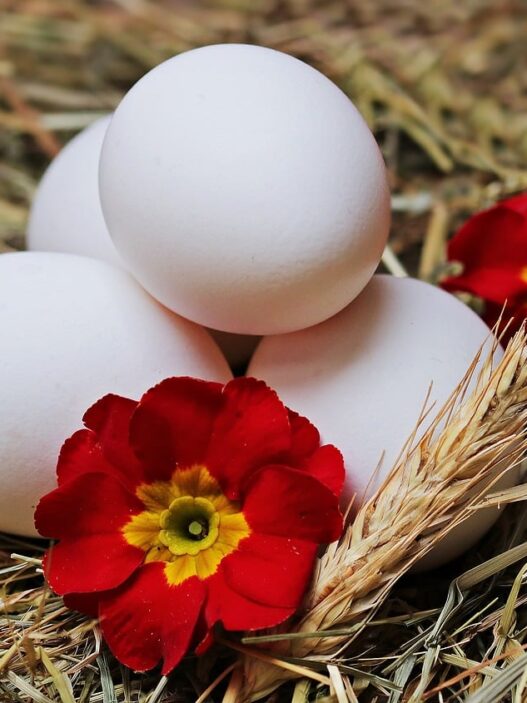 omega-3, eggs, straw, flower, white