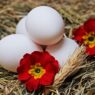 omega-3, eggs, straw, flower, white