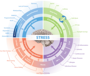 Lifestyle interventions, Metabolic flexibility, Long covid, Stress, Healthieyoo