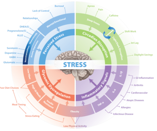 Lifestyle interventions, Metabolic flexibility, Long covid, Stress, Healthieyoo