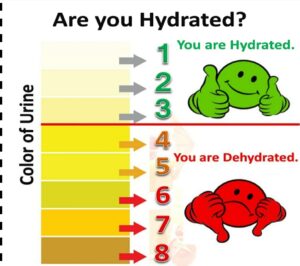 Hydration, urine color, sports nutrition, sports nutritionist