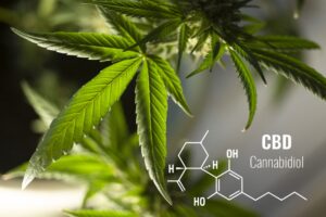 best CBD for anxiety, endocannabinoid system CBD, sleep tight