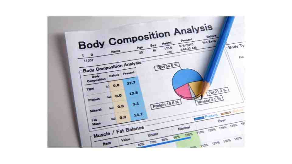 Body composition exercises, BMI, weight loss