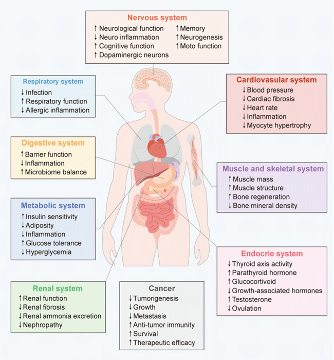 Personalised Nutrition, dietary interventions, health and disease, PN